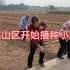河南豫北山区开始播种小麦了，人拉耧,拉耙，画面感人