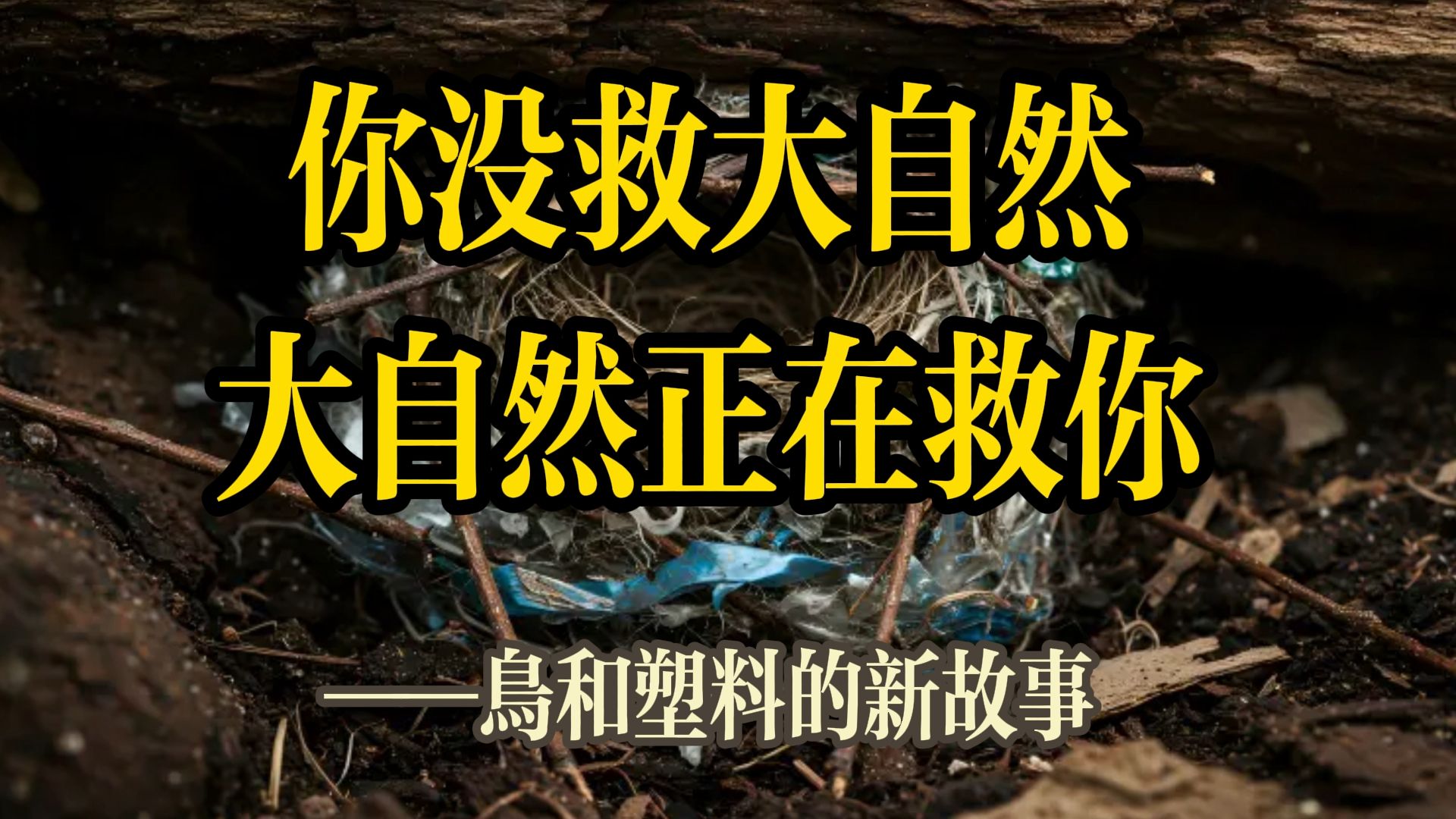 你没救大自然，大自然正在救你——鸟和塑料的新故事
