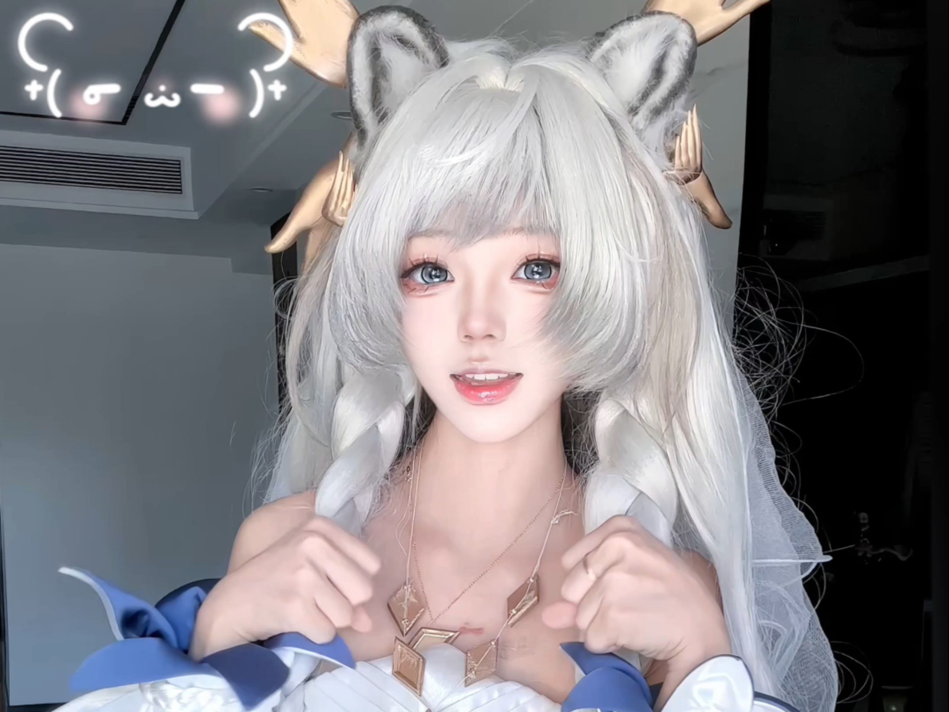 关注雪豹喵