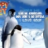 2006年奥斯卡最佳动画长片 《快乐的大脚》