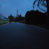 【轮上风景】深圳湾公园骑行