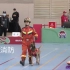 【全国消防职业技能大赛】陕西消防 第二只搜救犬（没找到叫啥名字）比赛完整视频