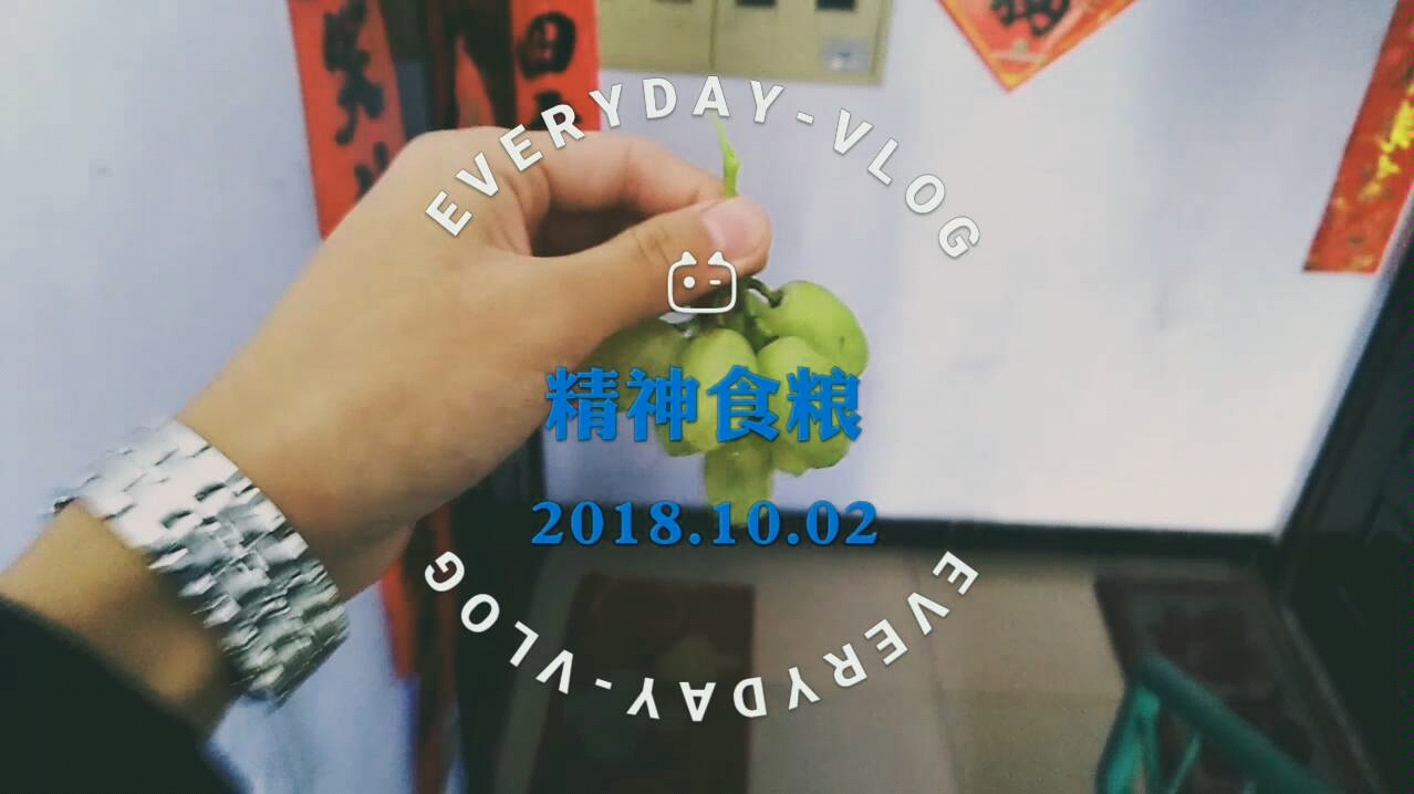 精神食粮哔哩哔哩 (゜゜)つロ 干杯~bilibili