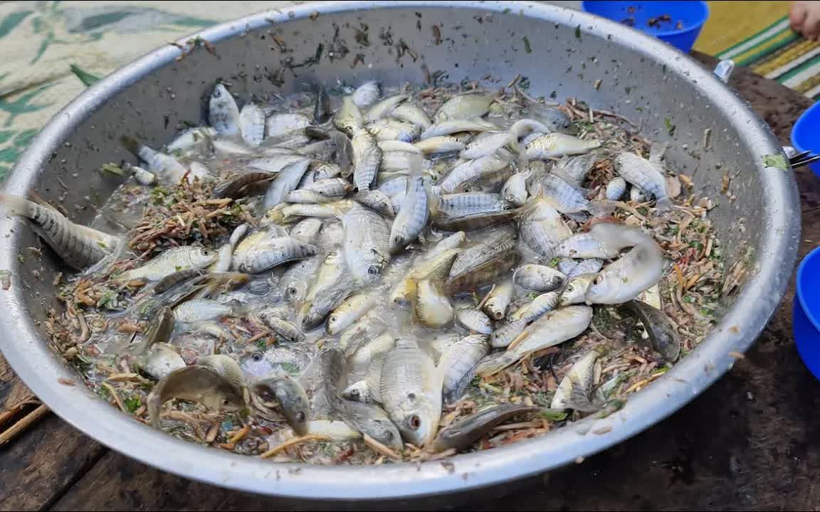 越南生猛美食“活鱼刺身”，活鱼不处理直接吃，吃法惊掉人下巴
