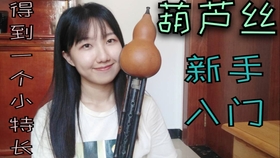 葫芦丝儿童曲谱大全(3)