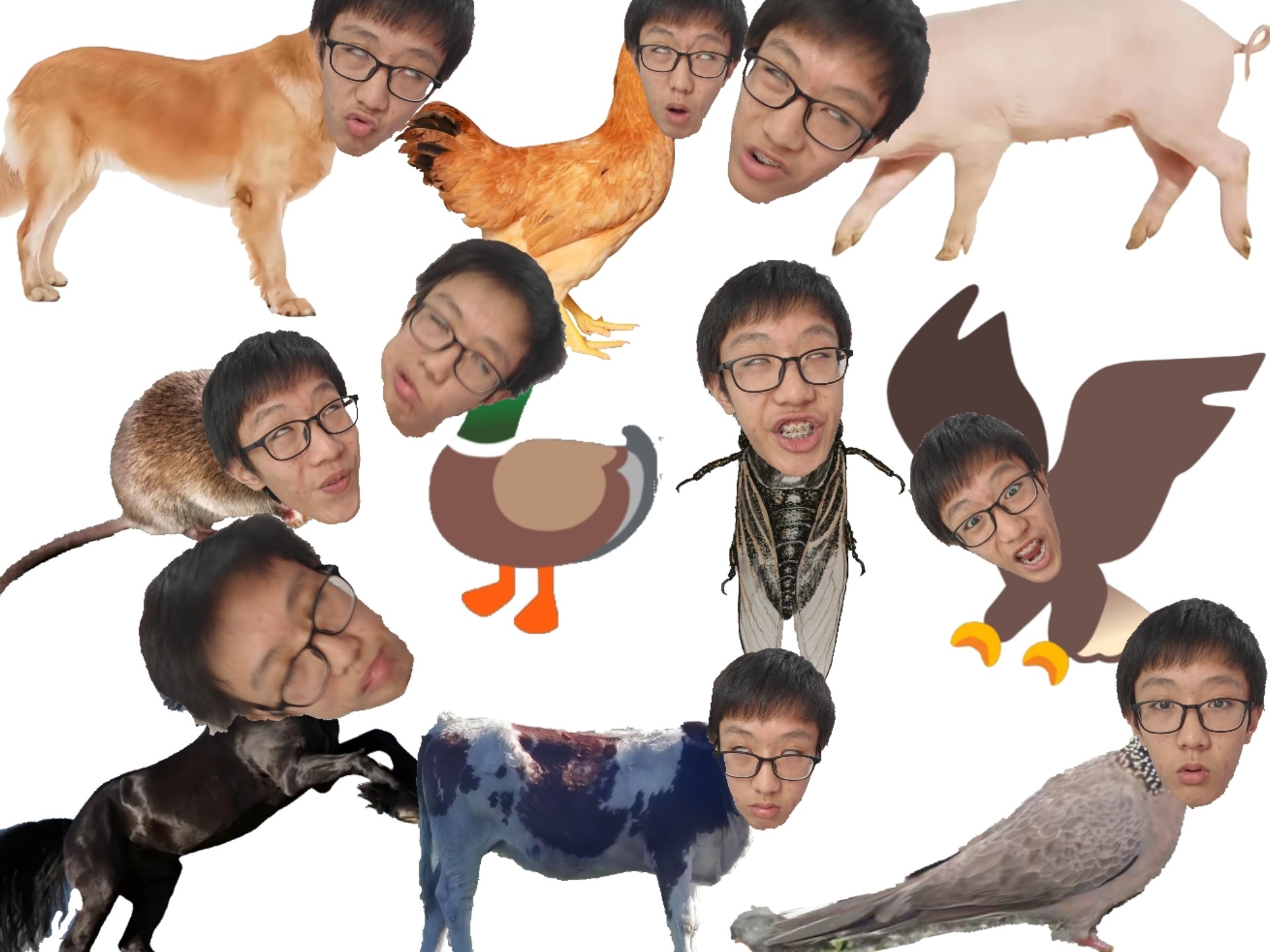 这真的是人类吗