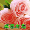 老师们！节日快乐