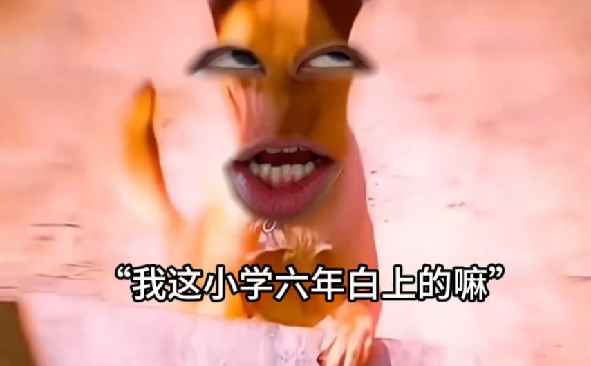 《我小学六年白上的嘛》