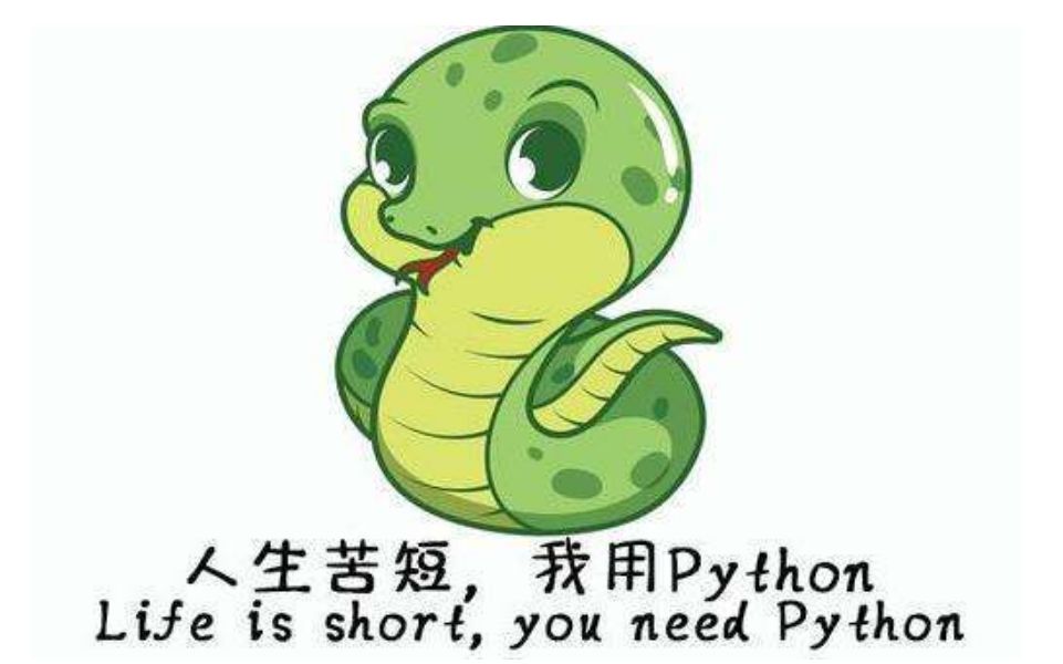 为什么说Python是最适合小白入门编程的语言？