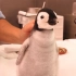 喂养刚出生1个月重两磅的帝企鹅，是一种什么体验？