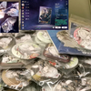 也来崩铁报菜名，但是成分明确版