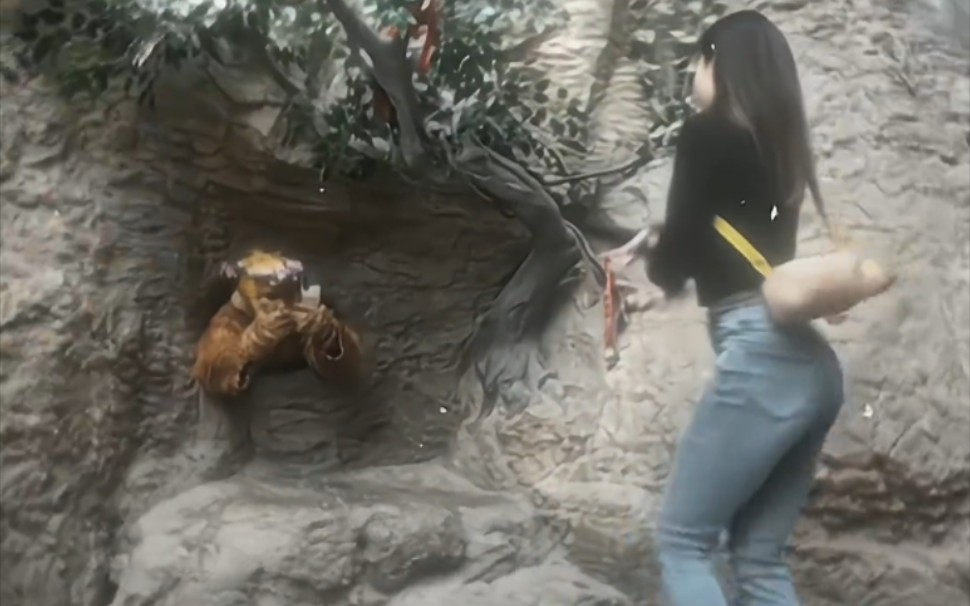 This is a high end game for Five Fingers.