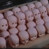 1963年的玩具厂人偶制作全过程