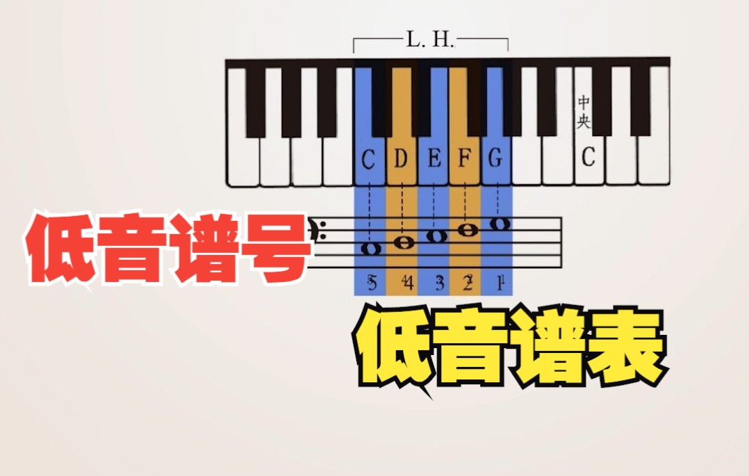 钢琴初学入门 | 低音谱号 低音谱表