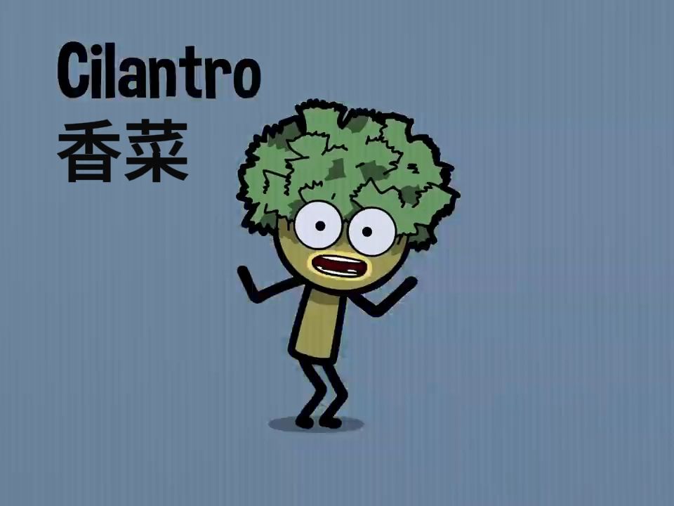 人生第一个西语单词cilantro