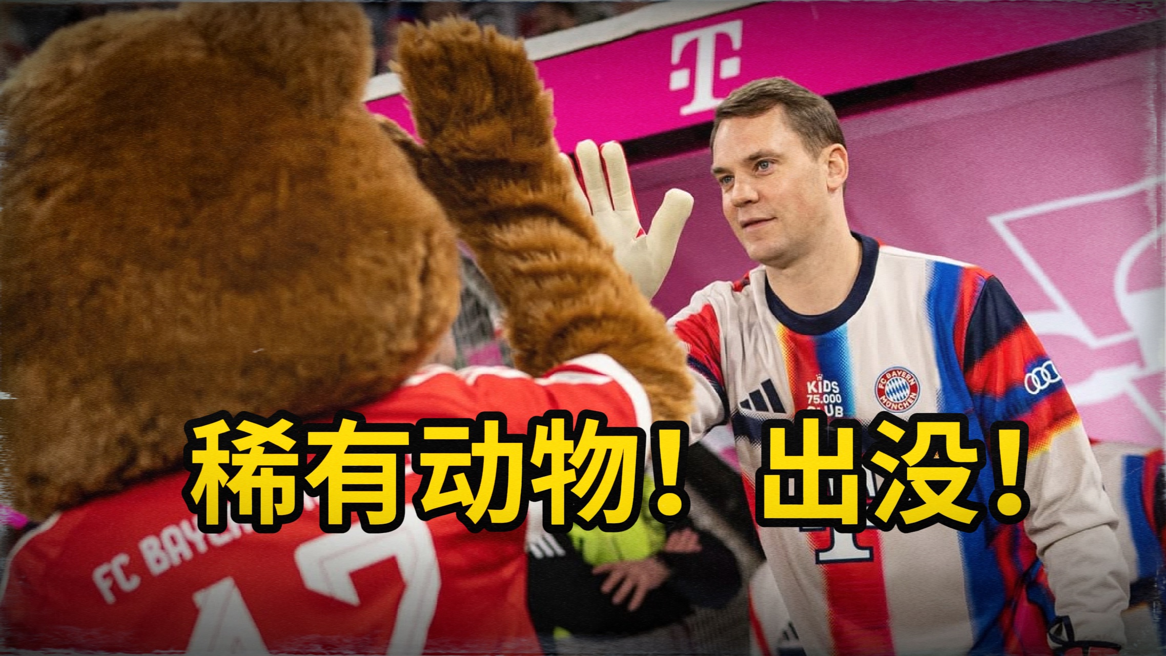 稀有动物出没！是仁迷就来一探究竟……