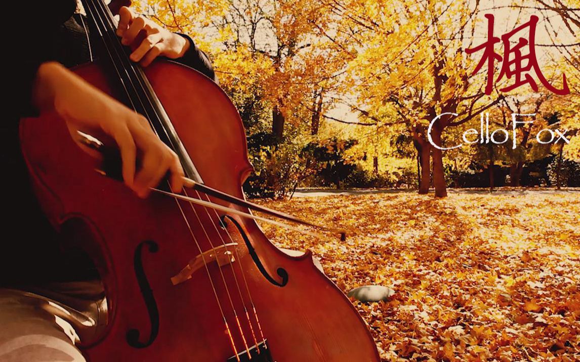 【大提琴】枫（Cover：周杰伦）缓缓飘落的枫叶像思念 By：CelloFox