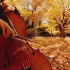 【大提琴】枫（Cover：周杰伦）缓缓飘落的枫叶像思念 By：CelloFox