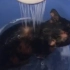 朋友给猫咪洗澡