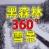 【360全景体验】前方极度舒适 第一视角体验德国黑森林的雪景