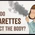 【Ted-ED】吸烟如何影响身体健康 How Do Cigarettes Affect The Body