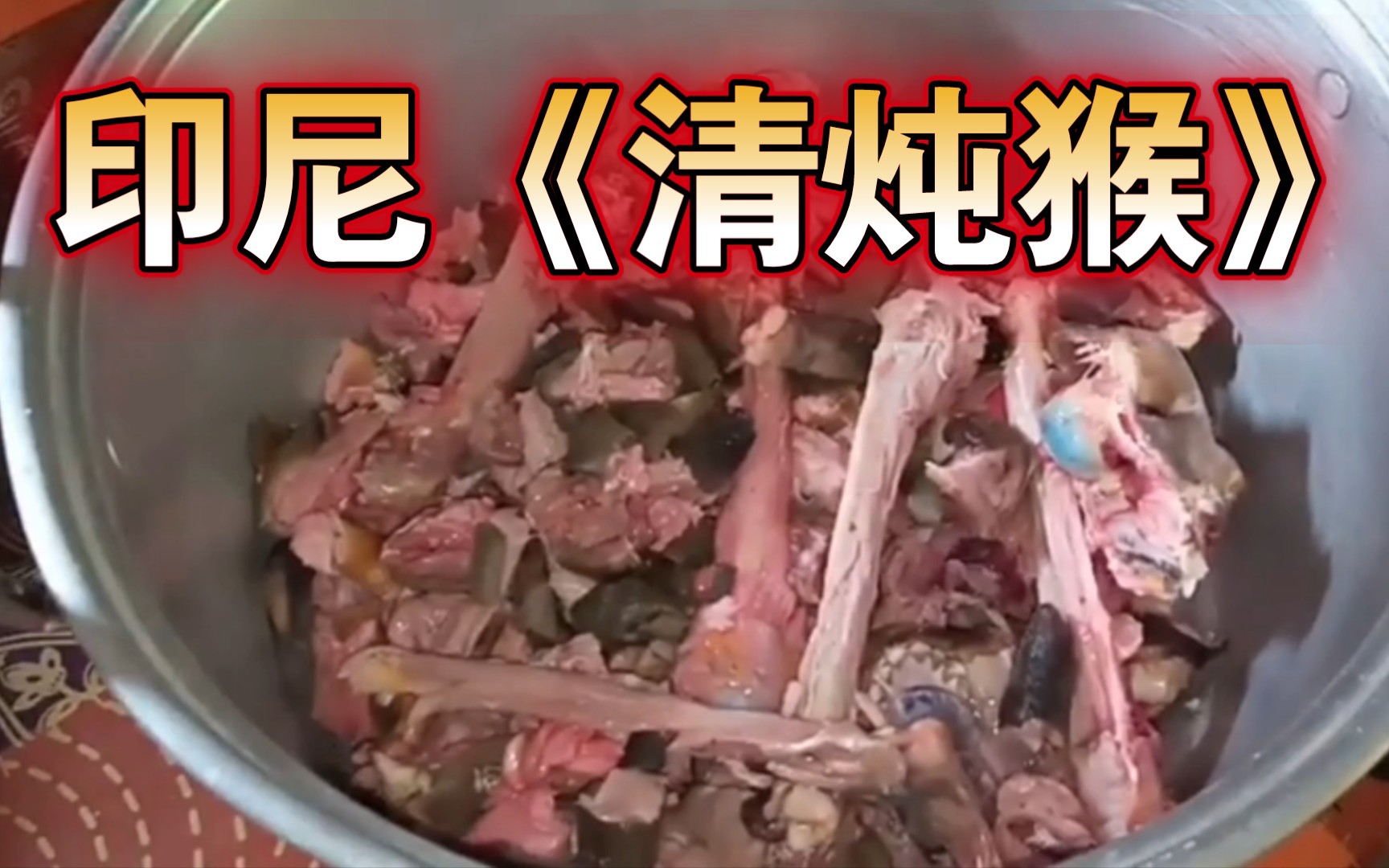 73印尼《清炖猴肉》73