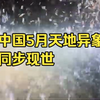 中国5月天地异象同步现世！鱼阵绕圈神秘预兆！太原天空闪现贝茨球，鸟群绕墓久久不散！广东漫天鱼群集体上浮！百年一遇奇观
