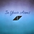 Avicii - In Your Arms 最完美 无噪音 无损音质 录音室版试听！！！
