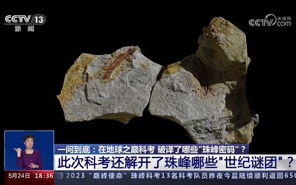 【地 质】青藏高原海洋生物化石