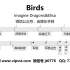 【金牌乐手网】1315.Imagine Dragons&Elisa - Birds 鼓谱 动态鼓谱 无鼓伴奏 drum 