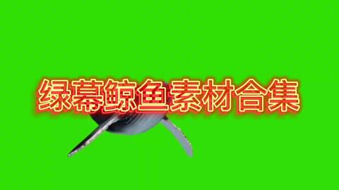 fca9dd9cce61f89b1f53d93b5f671eb1a47be31f.jpg@480w_270h_1c