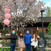 米雅旅遊Vlog_无锡樱花之旅 | 无锡美食、灵山小镇拈花湾、南长街