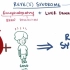【搬运osmosis】Reye syndrome