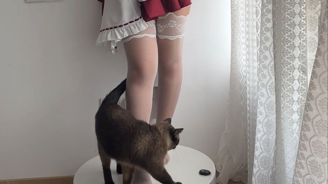Kittens walking around.