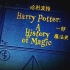 【纪录片】【波旁姐妹花字幕组】哈利波特：一段魔法史 Harry Potter A History of Magic