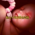 胚胎如何发育成宝宝，动画演示胎儿十个月发育全过程
