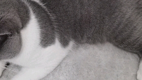 啥叫逆腹式呼吸 fd0d56a2b231bd1773a5d589b12f49f667f1d5ff.jpg@280w_158h_1c_100q.jpg