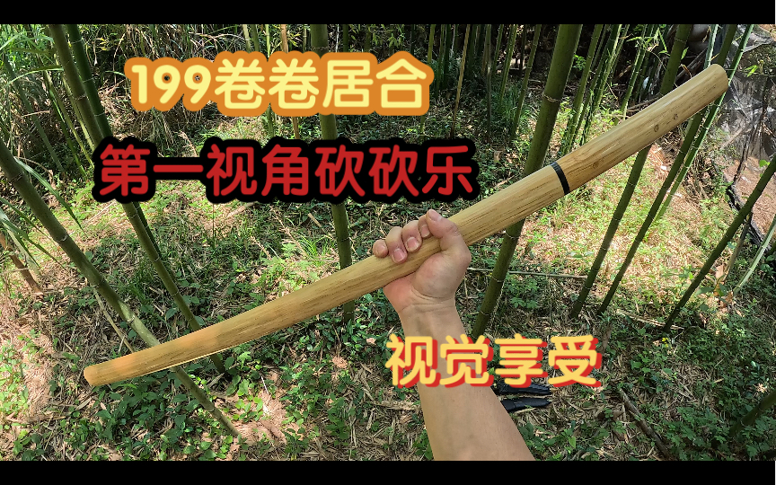 199卷卷居合第一视角的视觉享受