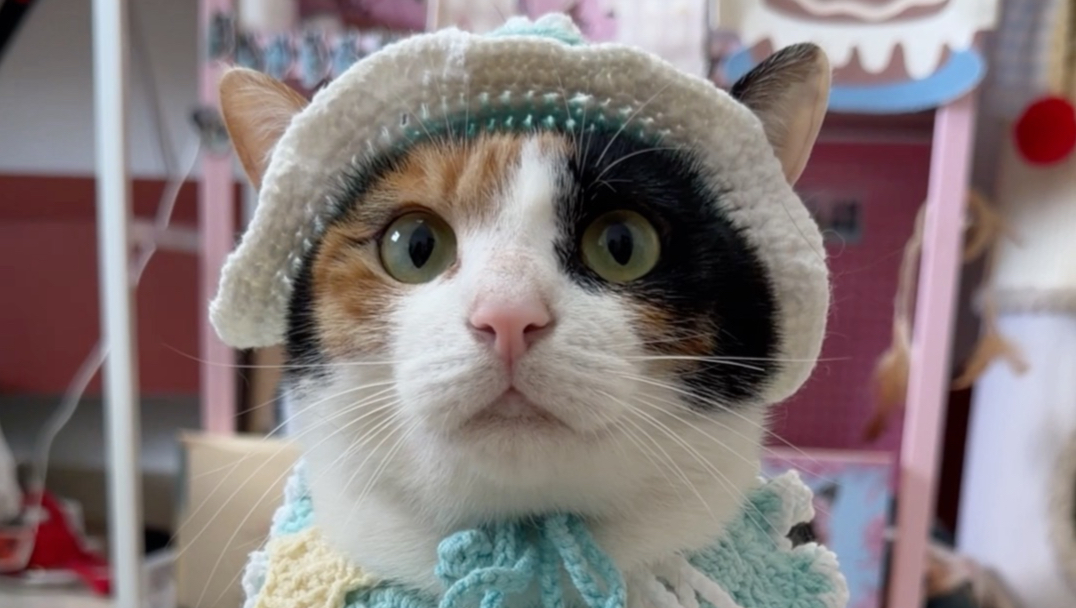 说话