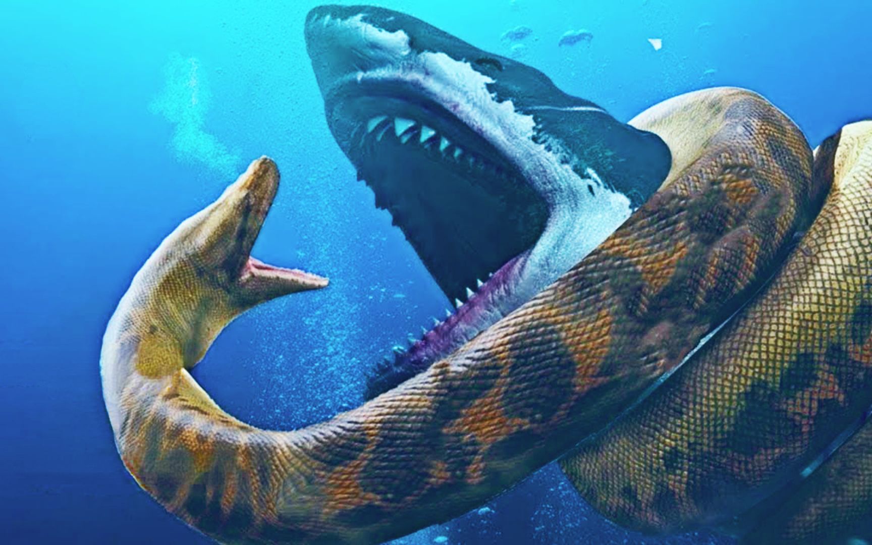 巨齿鲨和泰塔巨蟒，谁才是地球最强存在，它们的战斗会发生在哪里