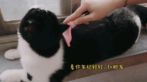 fd4efac29379818fd9b23b90c7f95100e8d64544.jpg@480w_270h_1c