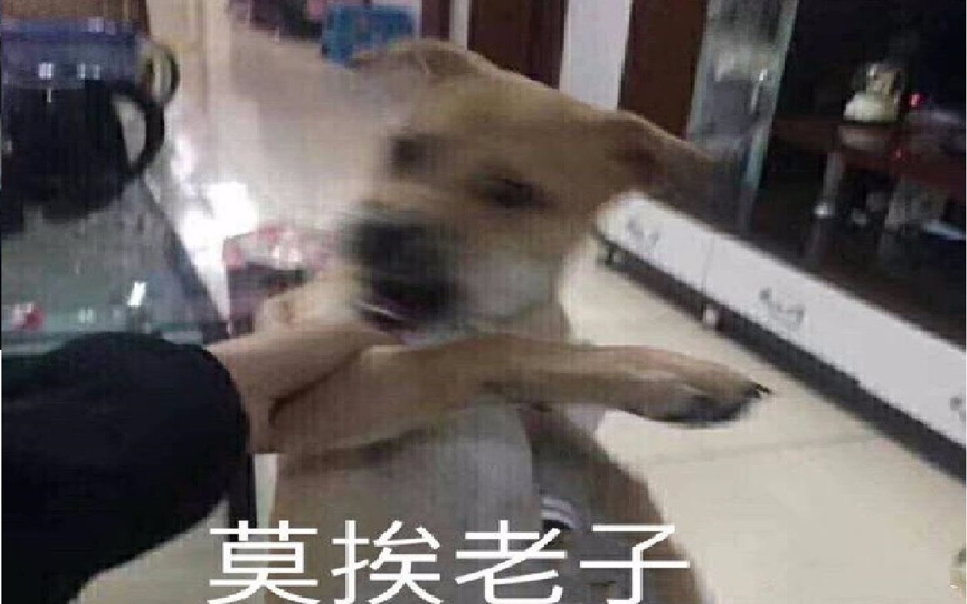 【老e】莫挨老子!_哔哩哔哩)つロ 干杯-bilibili