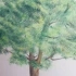 简单易学彩铅手绘干货分享  彩铅画一棵树