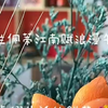 罗兰佩蒂女子养生会所