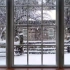 【白噪音】【学习向】【放松】看着窗外的雪景（下雪声，刮风声，烧火声）