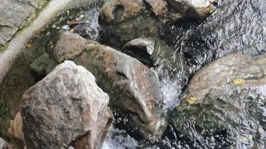 庐山游 存货 流水10.0