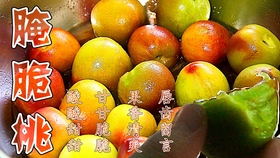 fe1c06abc42f6b1895bcbe2eae562611966ae0f2.jpg@280w_158h_1c_100q.jpg