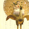 孔雀明王 真言 心咒