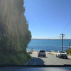 出差搬砖 周五回城 Newcastle → Sydney NSW