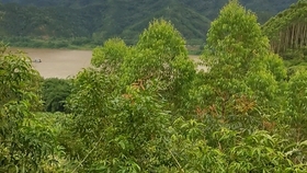 fe4d12e961c551ae41ed2a713c787d2f9c580fbd.jpg@280w_158h_1c_100q.jpg
